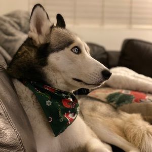 Meet your Posher, Tyler